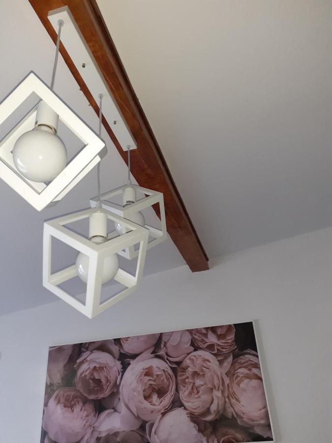 Flora Novi Sad Apartment Ngoại thất bức ảnh