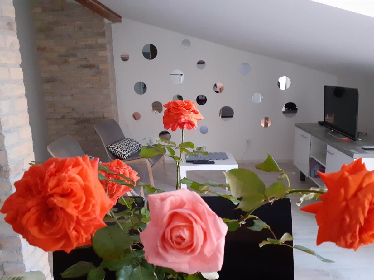 Flora Novi Sad Apartment Ngoại thất bức ảnh